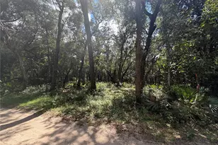 0 NE 37th St, Silver Springs, FL 34488 - Photo 1