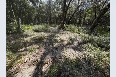 0 NE 37th Street, Silver Springs, FL 34488 - Photo 7