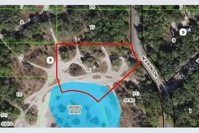 8436 N Erin Drive, Crystal River, FL 34428 - Photo 3
