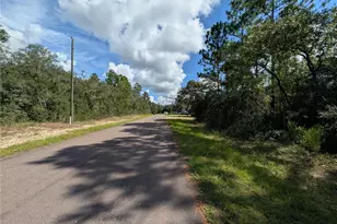 8511 N Boone Way, Citrus Springs, FL 34433 - Photo 1
