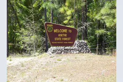 Nw Buena Vista Road, Dunnellon, FL 34431 - Photo 5