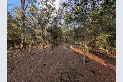 Nw Buena Vista Road, Dunnellon, FL 34431 - Photo 7