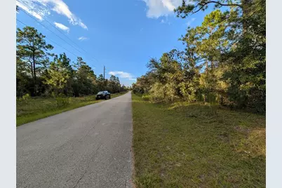 Nw Buena Vista Road, Dunnellon, FL 34431 - Photo 3