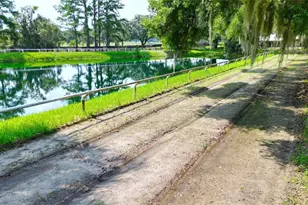 13450 NW Gainesville Rd, Reddick, FL 32686 - Photo 27