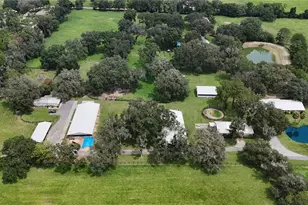 13450 NW Gainesville Rd, Reddick, FL 32686 - Photo 5