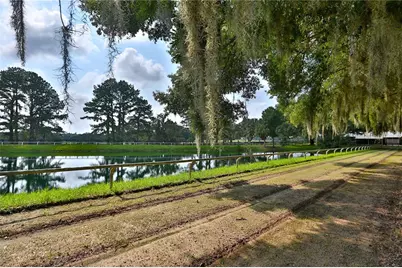 13450 NW Gainesville Road #Option 2, Reddick, FL 32686 - Photo 29