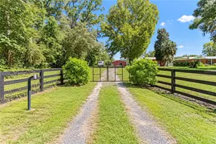 9551 NW Co Rd 345, Chiefland, FL 32626 - Photo 5