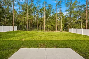 9818 N Pewter Ave, Citrus Springs, FL 34434 - Photo 23