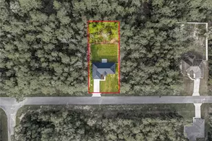 9818 N Pewter Ave, Citrus Springs, FL 34434 - Photo 3