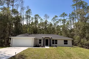 9818 N Pewter Ave, Citrus Springs, FL 34434 - Photo 1