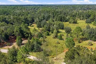 8751 N Catapane Loop, Crystal River, FL 34428 - Photo 1