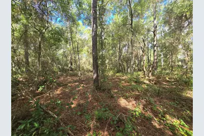 996 N Charles Avenue, Inverness, FL 34453 - Photo 5