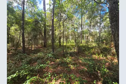 996 N Charles Avenue, Inverness, FL 34453 - Photo 9