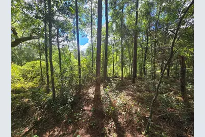 996 N Charles Avenue, Inverness, FL 34453 - Photo 11