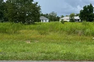 Tbd Juniper Loop Pl, Ocala, FL 34480 - Photo 1