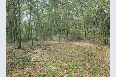 366 S Savary Avenue, Inverness, FL 34453 - Photo 11