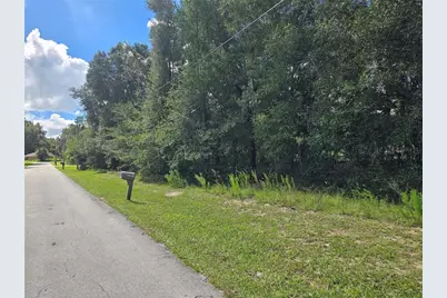 366 S Savary Avenue, Inverness, FL 34453 - Photo 3