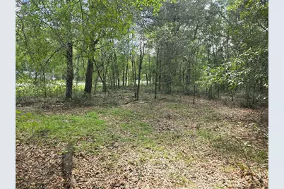 366 S Savary Avenue, Inverness, FL 34453 - Photo 9