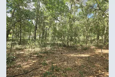 366 S Savary Avenue, Inverness, FL 34453 - Photo 7