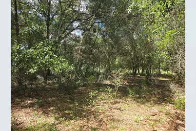366 S Savary Avenue, Inverness, FL 34453 - Photo 5
