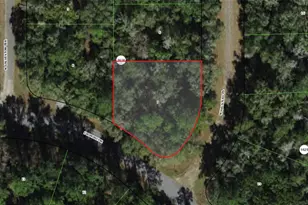 9266 N Halstead Loop, Citrus Springs, FL 34434 - Photo 1