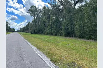 Tbd Cr 337, Morriston, FL 32668 - Photo 3