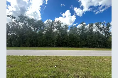Tbd Cr 337, Morriston, FL 32668 - Photo 1