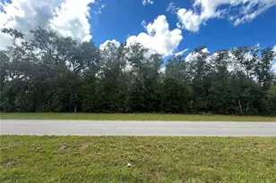 Tbd Cr 337, Morriston, FL 32668 - Photo 1