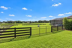7137 NE 25th Ave Rd, Ocala, FL 34479 - Photo 77