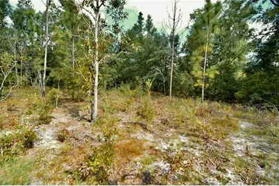 00 SW 40th Ave, Jasper, FL 32052 - Photo 49