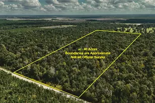 00 SW 40th Ave, Jasper, FL 32052 - Photo 1