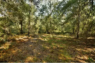 00 SW 40th Ave, Jasper, FL 32052 - Photo 43