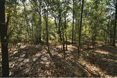 00 SW 40th Ave, Jasper, FL 32052 - Photo 61