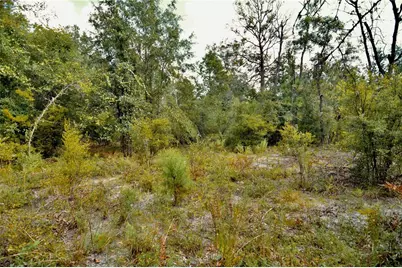 00 SW 40th Ave, Jasper, FL 32052 - Photo 65
