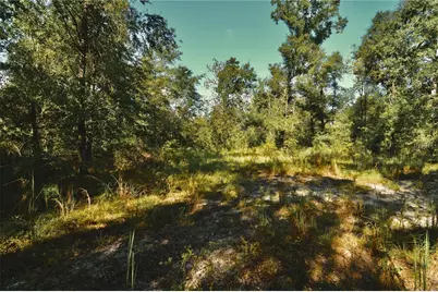 00 SW 40th Ave, Jasper, FL 32052 - Photo 45