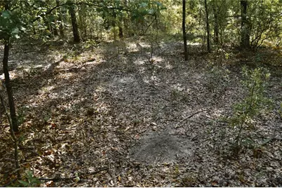 00 SW 40th Ave, Jasper, FL 32052 - Photo 19