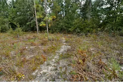 00 SW 40th Ave, Jasper, FL 32052 - Photo 11