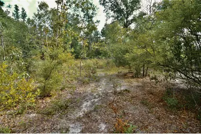 00 SW 40th Ave, Jasper, FL 32052 - Photo 25