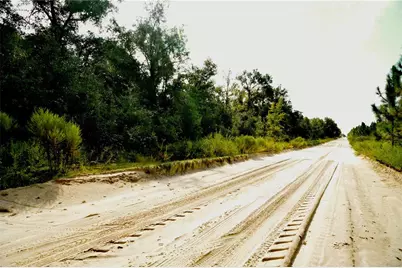 00 SW 40th Ave, Jasper, FL 32052 - Photo 13