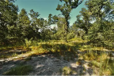 00 SW 40th Ave, Jasper, FL 32052 - Photo 21