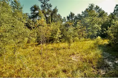 00 SW 40th Ave, Jasper, FL 32052 - Photo 37