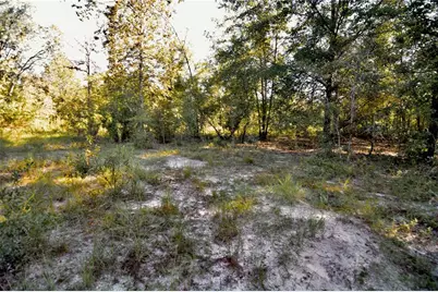 00 SW 40th Ave, Jasper, FL 32052 - Photo 39