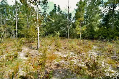 00 SW 40th Ave, Jasper, FL 32052 - Photo 67