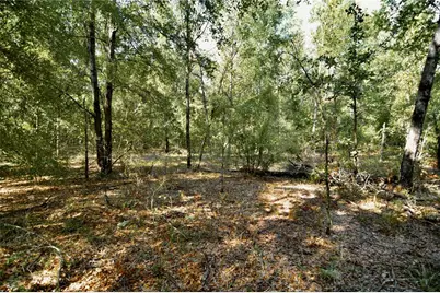 00 SW 40th Ave, Jasper, FL 32052 - Photo 33