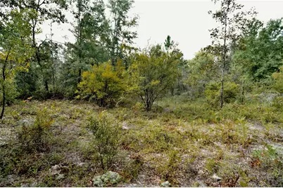 00 SW 40th Ave, Jasper, FL 32052 - Photo 27