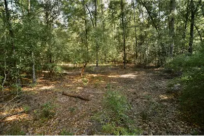 00 SW 40th Ave, Jasper, FL 32052 - Photo 63