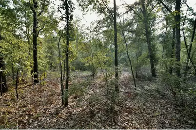 00 SW 40th Ave, Jasper, FL 32052 - Photo 55