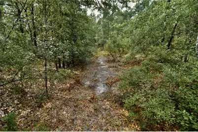 00 SW 40th Ave, Jasper, FL 32052 - Photo 29