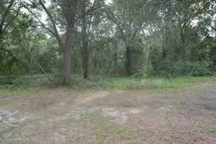 12330 NE 77th Ct, Bronson, FL 32621 - Photo 43