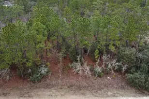 Tbd SW 91st Ln, Dunnellon, FL 34432 - Photo 1